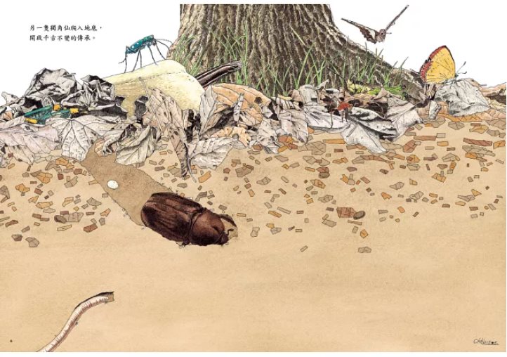 地面地下：四季昆蟲微觀圖記